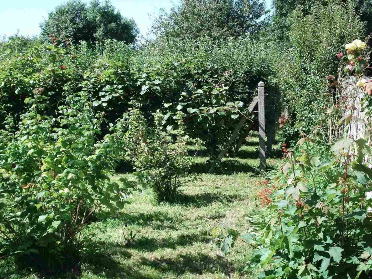 Le Clos Des Tilleuls La Vendelée Eksteriør billede